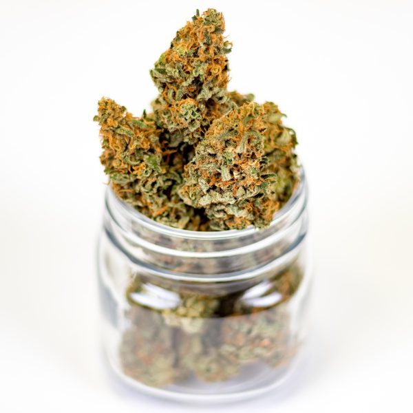 pot, weed, nature, hemp, plant, medical, medicinal