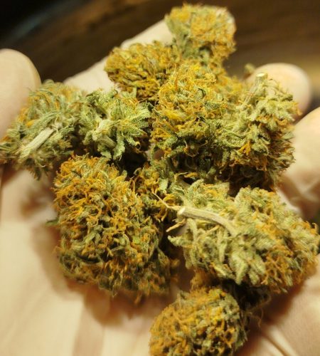 CBD